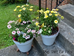 Easy DIY, paint project, planters, curb appeal