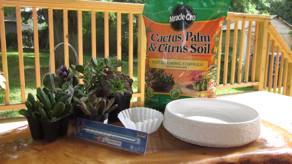 succulent gardening supplies, materials, what you need to plant your own garden