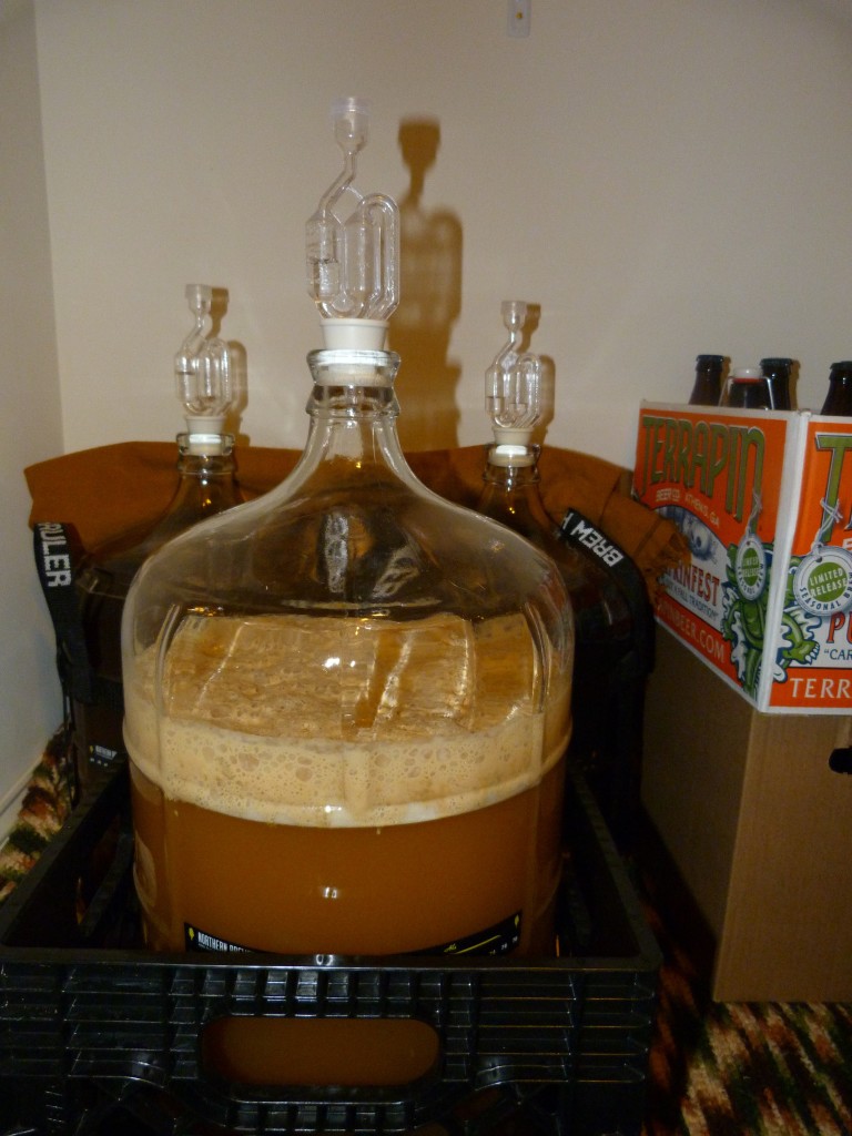 active fermentation, beer brewing, home brewed beer, home brewing, cream ale