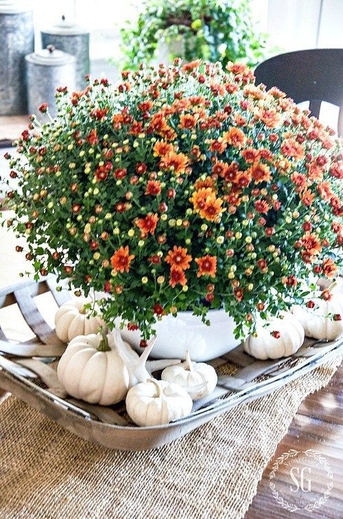 Natural Tablescapes for Fall - Inspiring Fall Tables - Heidi Milton - Mohawk Home - Stone Gable