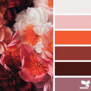 Color Palette- Flame- Seeds
