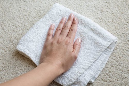 Blotting carpet to remove stain.
