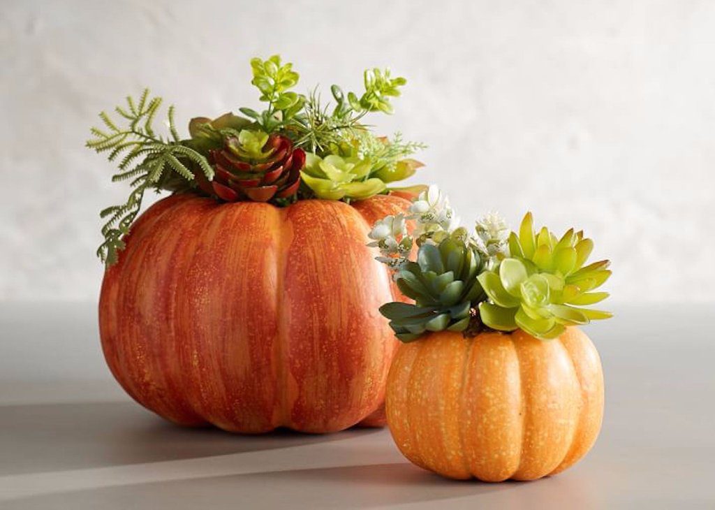 Carve out a place to store your favorite plants and succulents using a plastic pumpkin. 
