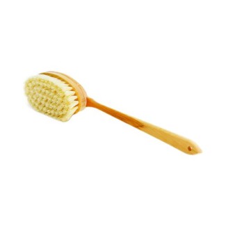 Bernard Jensen Brush - Amazon.com - Mohawk Homescapes - Must-Have Bath Products